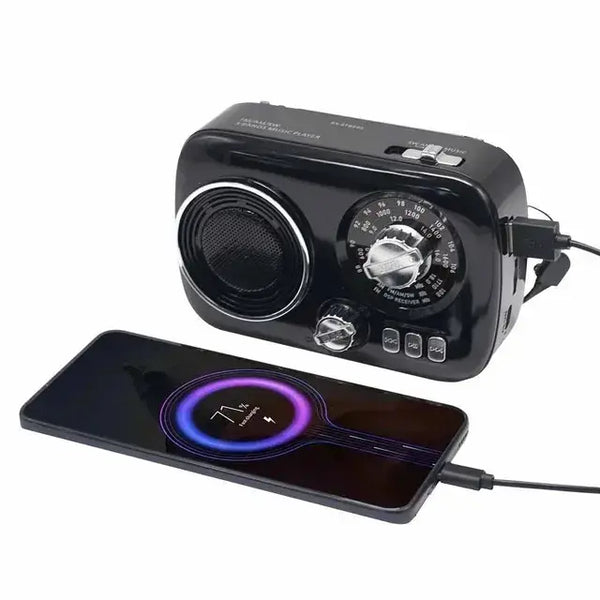 Small Portable Radio
